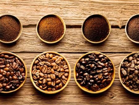 Robusta và Arabica: Hiểu đúng để chọn đúng